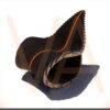 Wave Armchair