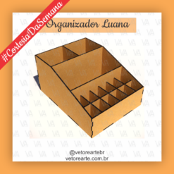 #R02 -Organizador Luana