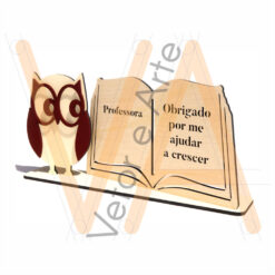Agradecimento Professora