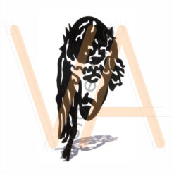 Rosto de Cristo