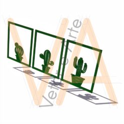 Trio de Cactus