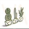 Quadro Cactus