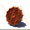 Mandala Malatya